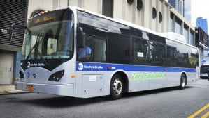 BYD Electric Bus : essai concluant pour la ville de New York
